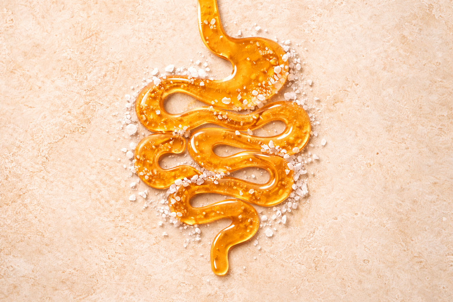 Honey digestive tract with salt crystals