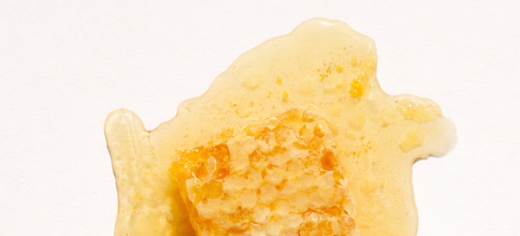 Honey comb and honey on a plain background